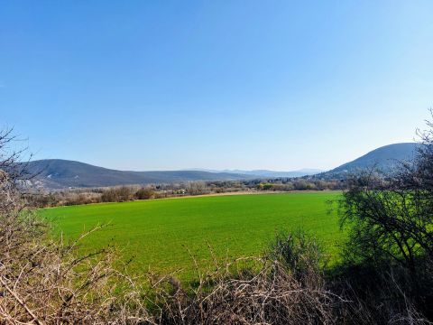 Eladó Telek 2500 Esztergom , Csendesvölgy utca