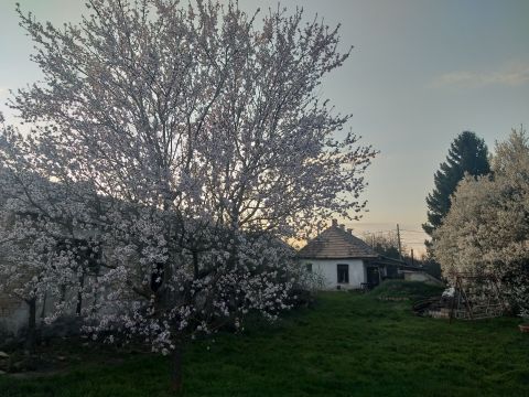 Eladó Ház 8086 Felcsút 