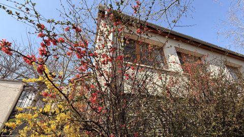 Eladó Ház 9029 Győr , Két lakásos családi ház csendes környezetben