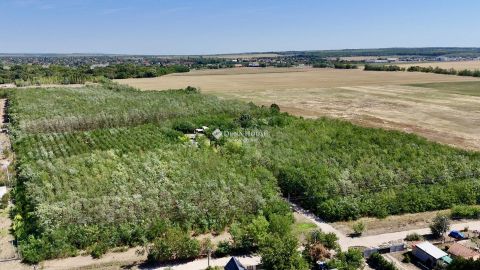 Eladó Telek 2230 Gyömrő , Ipari Telek, Központ Helyen