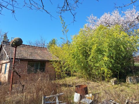 Eladó Ház 2066 Újbarok , Újbarok Szőlőhegy utca