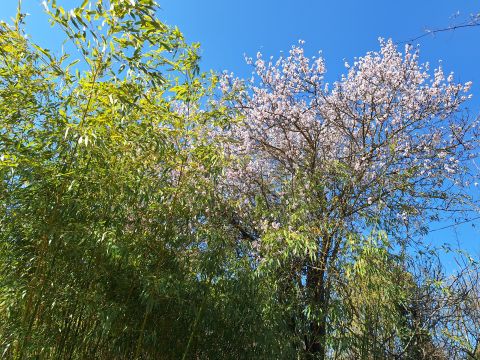 Eladó Ház 2066 Újbarok Újbarok Szőlőhegy utca
