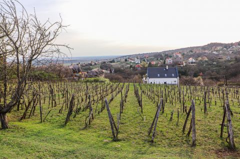 Eladó Telek 8096 Sukoró Panorámás építési telek