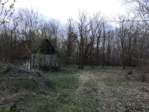 Eladó Ház 6783 Ásotthalom 