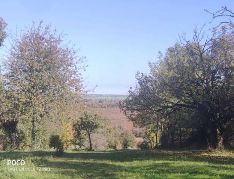 Eladó Telek 9730 Kőszeg , Kőszeg Királyvölgy 105