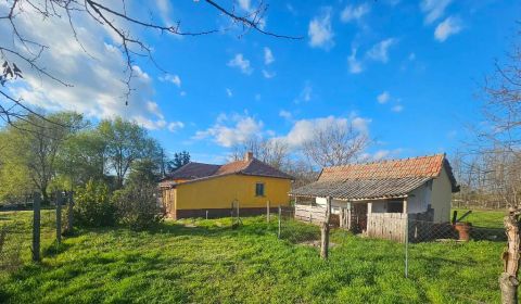 Eladó Ház 5094 Tiszajenő 5094 Tiszajenő, központi