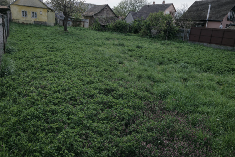 Eladó Telek 6500 Baja , Fő úthoz közeli csendes utcában telek 