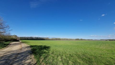 Eladó Mezőgazdasági 2241 Sülysáp , Szántó, egyéb felhasználásra is alkalmas terület