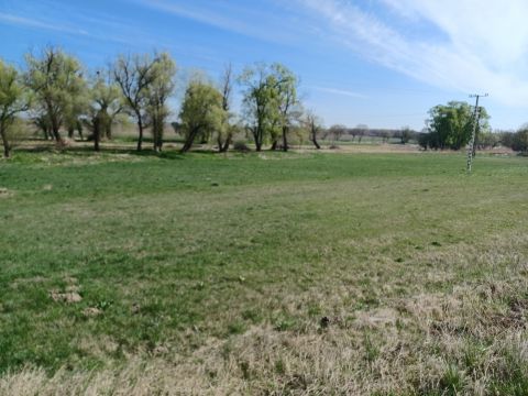 Eladó Telek 8073 Csákberény 