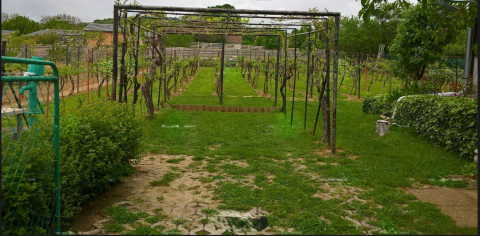 Eladó Telek 7694 Hosszúhetény 