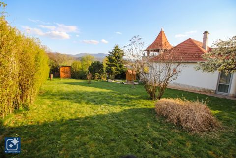 Eladó Ház 3246 Mátraderecske KIVÉTELES hangulató,TORNYOS ház,akár vendégháznak is!