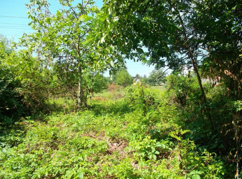 Eladó Ház 3508 Miskolc , Miskolc, Hejőcsaba városrész