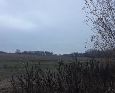 Eladó Telek 7555 Csokonyavisonta 