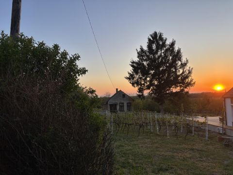 Eladó Telek 9600 Sárvár 
