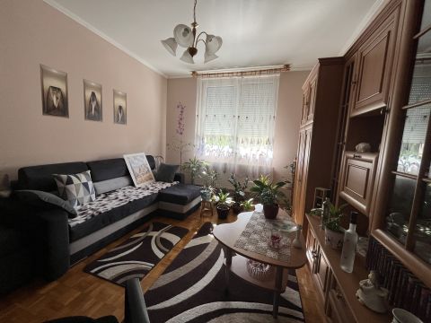 Eladó Lakás 8900 Zalaegerszeg , Zalaegerszeg PENNY parkoló, Platán sor 