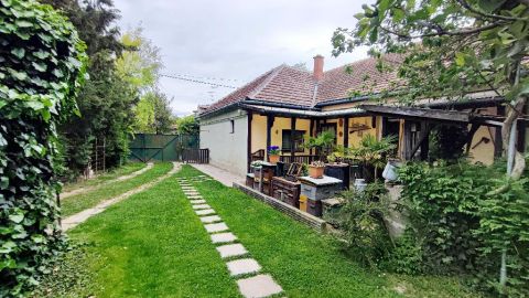 Eladó Ház 9176 Mecsér , 9176 Mecsér, Alszer
