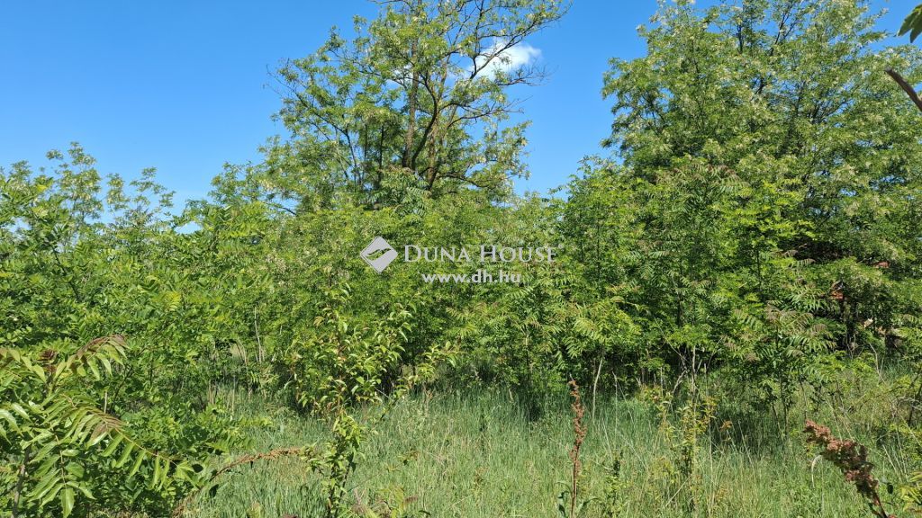 8636 Balatonszemes — 1/5