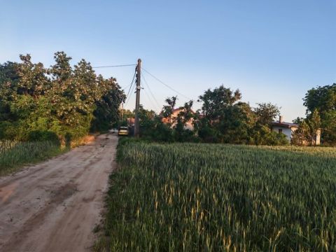 Eladó Mezőgazdasági 2241 Sülysáp , Zártkerti telek Sülysápon