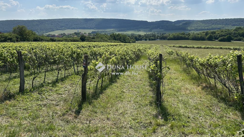 8272 Szentantalfa , Nincs utca — 1/2
