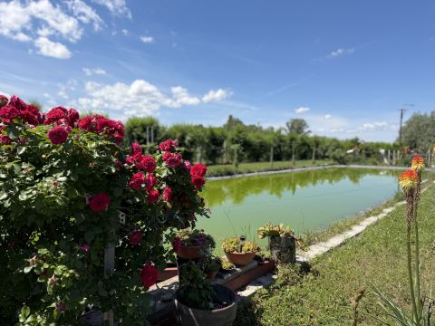 Eladó Intézmény 9491 Hidegség Természetközeli környezetben, kiváló intézményi ingatlan