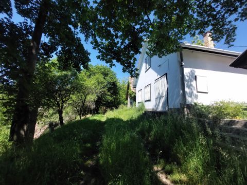 Eladó Ház 2643 Diósjenő Pincesor