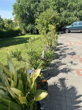 Eladó Ház 8230 Balatonfüred Központhoz közel