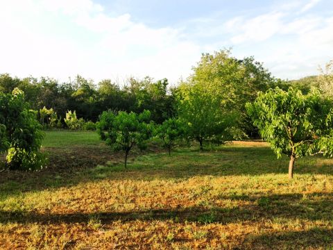 Eladó Ház 8095 Pákozd Nyugalmas, természetközeli