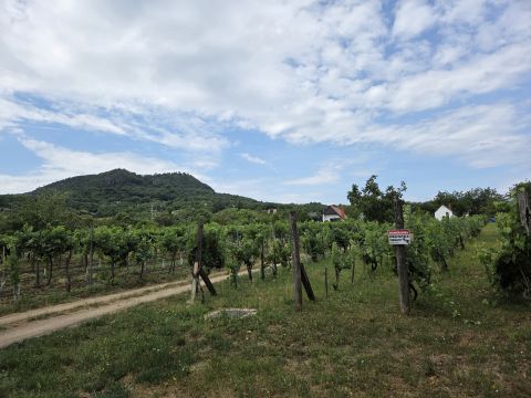 Eladó Telek 8284 Kisapáti 