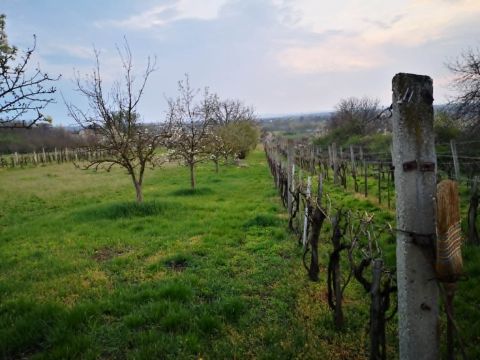 Eladó Mezőgazdasági 8181 Berhida Berhida központ