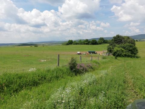 Eladó Telek 2064 Csabdi , Télizöldes déli lejtője