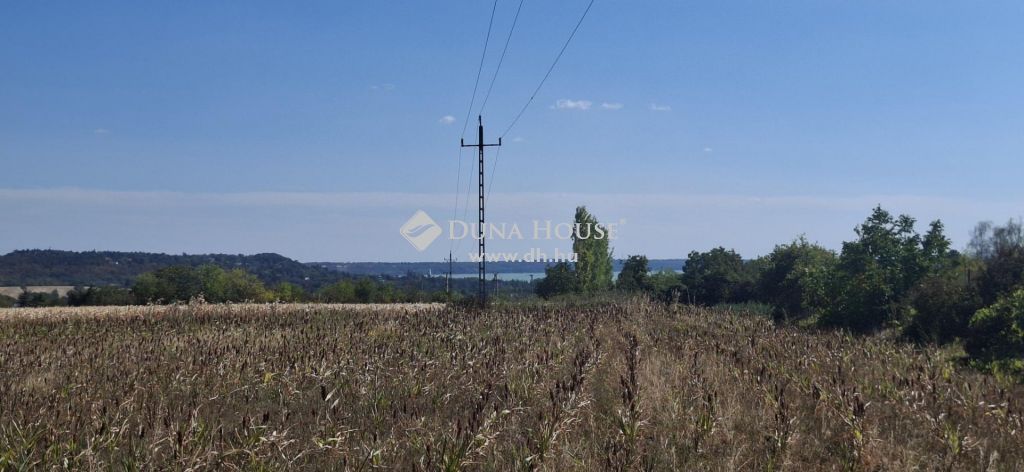 8174 Balatonkenese — 1/4