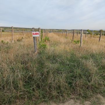 Eladó Telek 9400 Sopron 