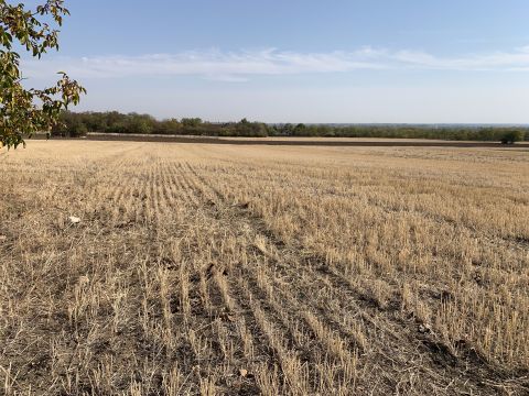 Eladó Telek 8142 Úrhida , Úrhida, 10718 m2 belterületi fejlesztési terület